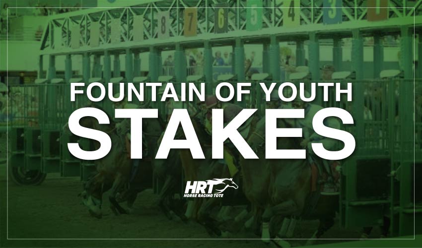 Fountain of Youth Stakes Kentucky Derby Picks & News